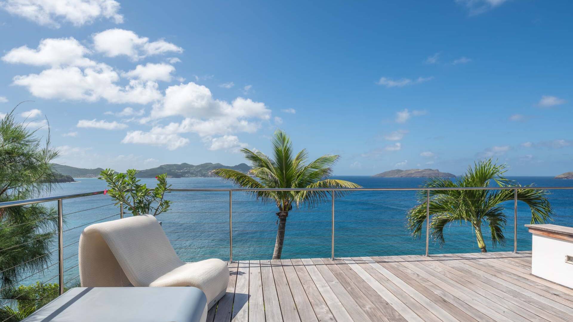 sea view and coconuts