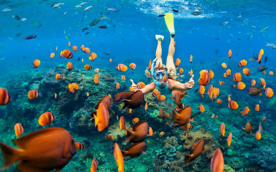 Is St. Barts good for scuba diving?